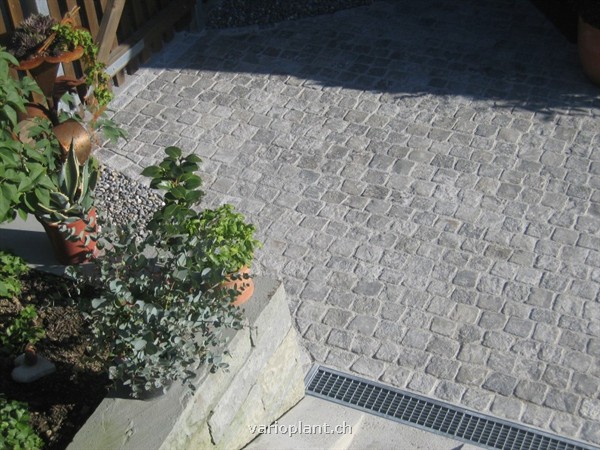 Detailaunahme bei Rinne